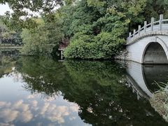 -荔湾湖公园