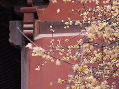 -钱王祠