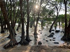 -宝安西湾红树林湿地公园