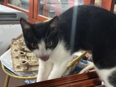 -万兴启丰椰子文化园餐厅