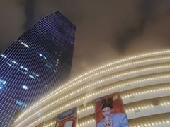 -上海龙之梦万丽酒店