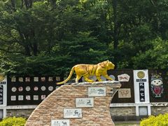 -横道河子东北虎林园