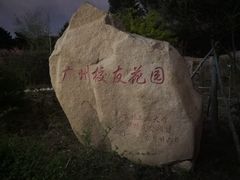-吉林大学(南岭校区)