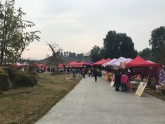 -秀丽东方