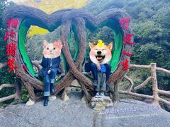 -黄山翡翠谷景区