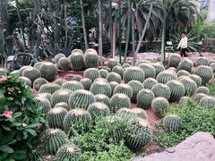 -石家庄市植物园