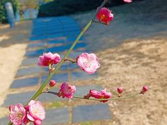 -白塘生态植物园