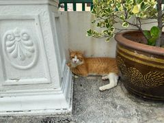 -云石寺