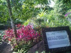 -呀诺达热带雨林