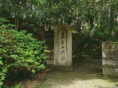 -莫干山风景区