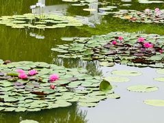 -国家植物园南园