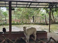 -深圳野生动物园