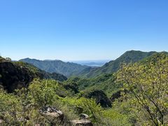 -大岭沟猕猴桃谷风景区