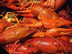 -0574龙虾的故事(东裕店)