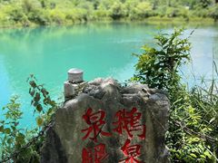 -靖西鹅泉风景区