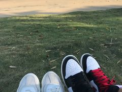 -黄金海岸环岛路