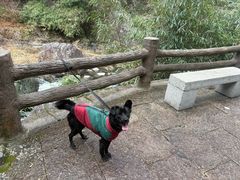 -刘伯温故里景区百丈漈
