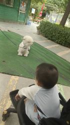 -萌宠亲子动物乐园(槐房万达店)