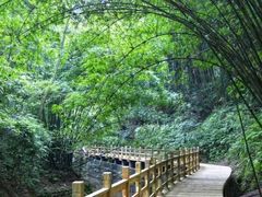 -凤栖山