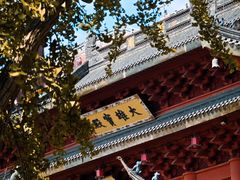 -上海东林寺(金山区)