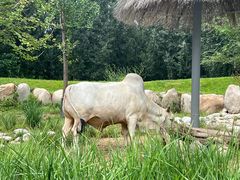 -北京野生动物园