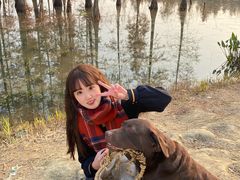 -白鹭湾湿地公园