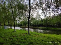 -长白岛森林公园