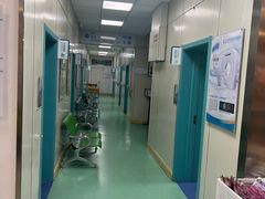 -北京观赏动物医院·24小时大型综合·猫专科·异宠专科