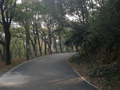 -石峰公园