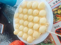 -广州市流溪河国家森林公园