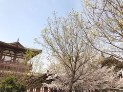 -西安青龙寺遗址景区