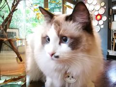 -咖法森林·咖啡  酒吧(天河店)