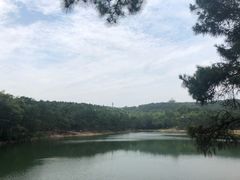 -南京市无想山景区