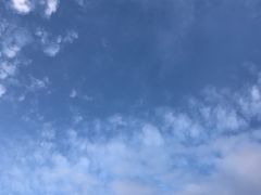 -厦门国家会计学院