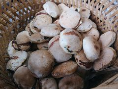 -陈记紫菜饼(湖滨霞店)