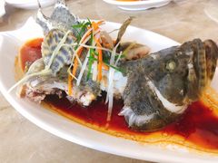 清蒸石斑鱼(霸王岭8号)-清水湾3号(东方小周海鲜店)