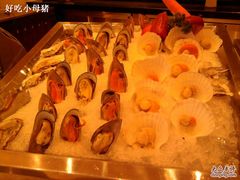 -成都新东方千禧大酒店-琥珀西餐厅