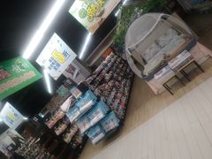 -华润苏果(文昌巷社区店)