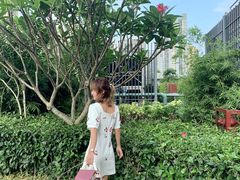 -石厦(地铁站)