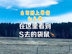 -旧议会大厦