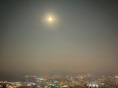 -长虫山生态公园风景林