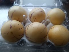 -万象汇