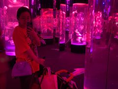 -成都浩海立方海洋公园