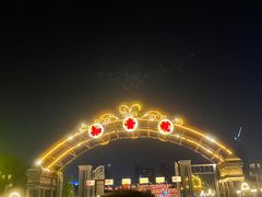 -武汉知音号
