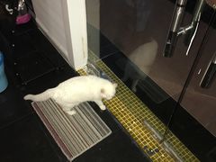 -Doors独立剧情密室(东门分店)