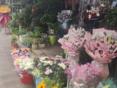 -循礼门鲜花花市(武汉循礼门店)