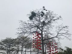 -晓港公园