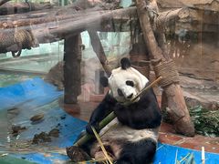 -成都动物园