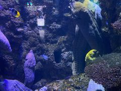 -海合安青岛极地海洋公园