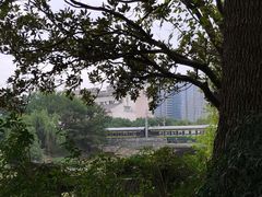 -运河游船(武林门码头)